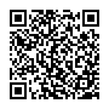 QR code for 317382