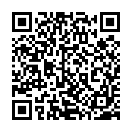 QR code for 317597