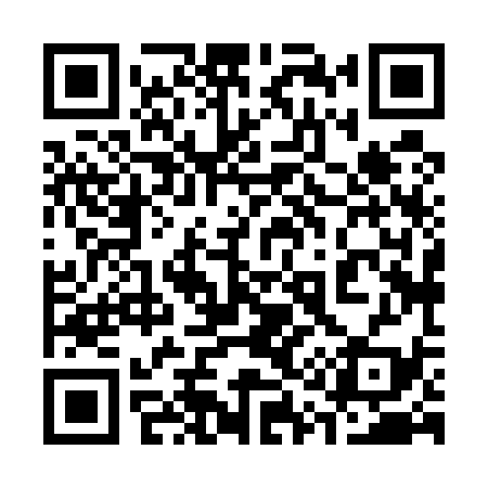 QR code for 318539