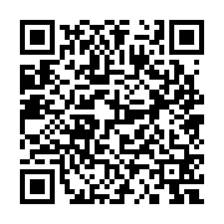 QR code for 3203607