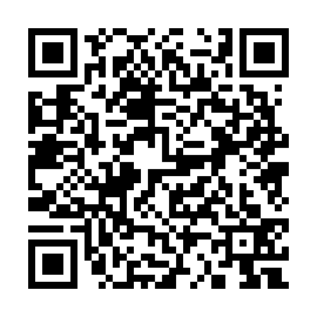 QR code for 3206339
