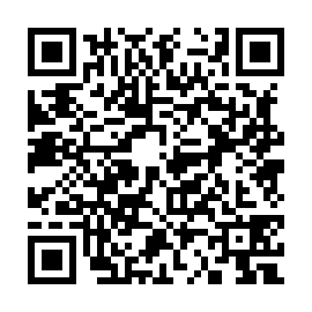 QR code for 3208384