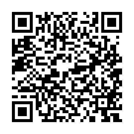 QR code for 3223895