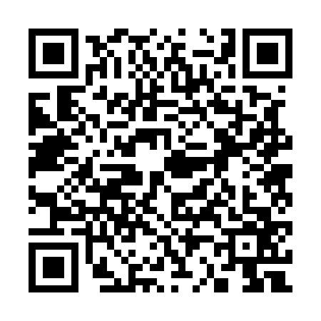 QR code for 3225661