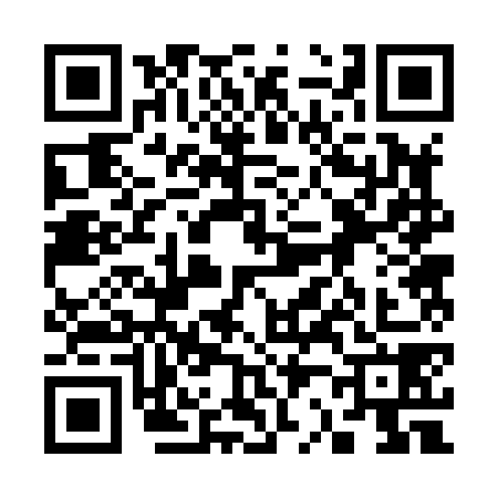 QR code for 3228787