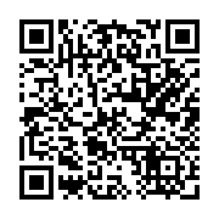 QR code for 323133
