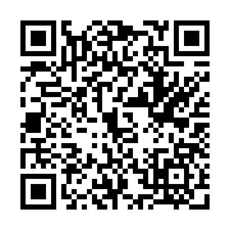 QR code for 3237878
