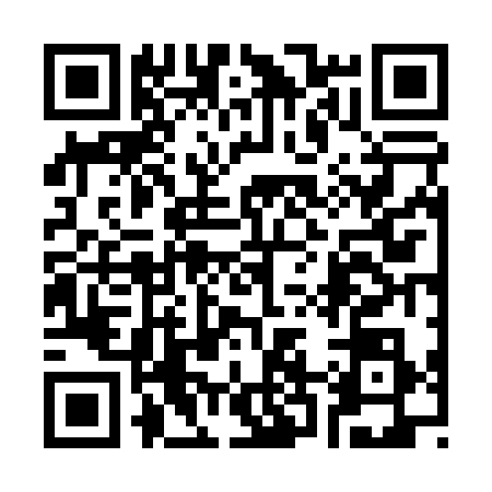QR code for 3260384