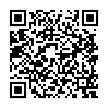 QR code for 3290938