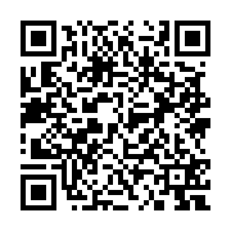 QR code for 3295218