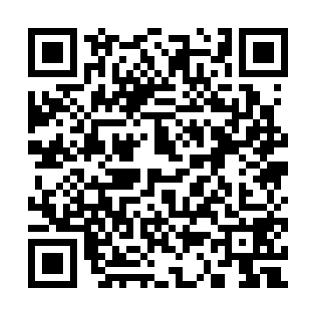 QR code for 3313587