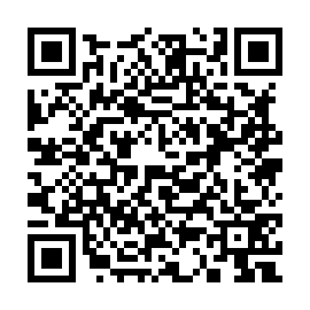 QR code for 3318738
