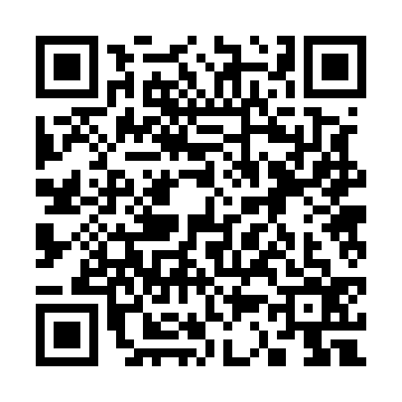 QR code for 3325365
