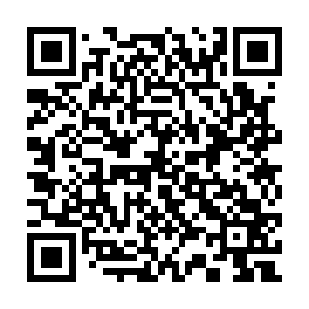 QR code for 333163