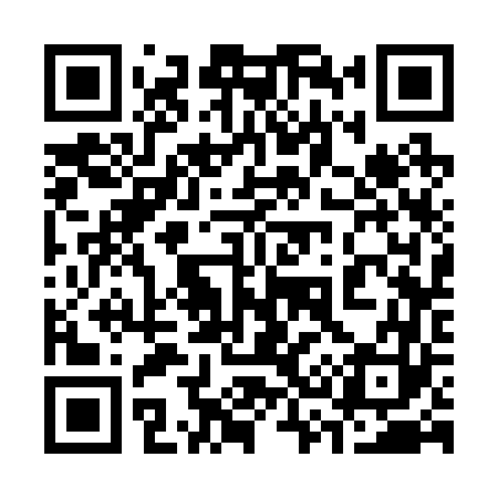 QR code for 333263