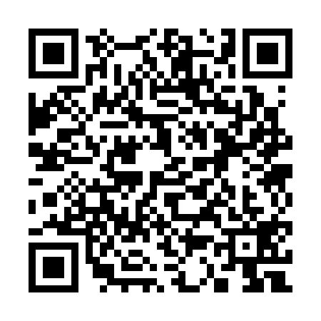 QR code for 3333197