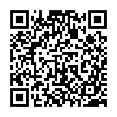 QR code for 333367