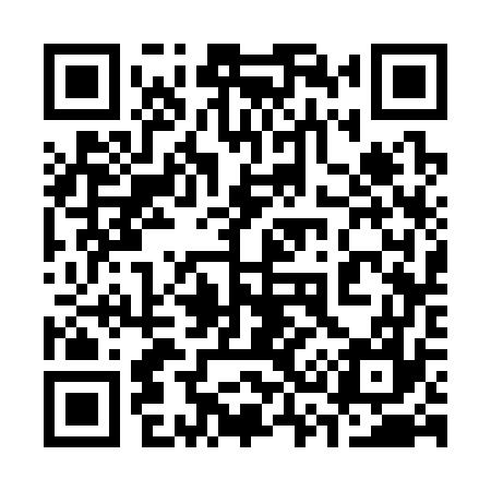 QR code for 333377