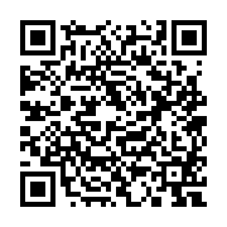 QR code for 3333841