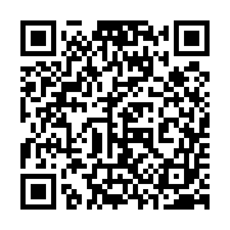QR code for 333553