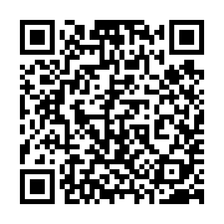 QR code for 333689