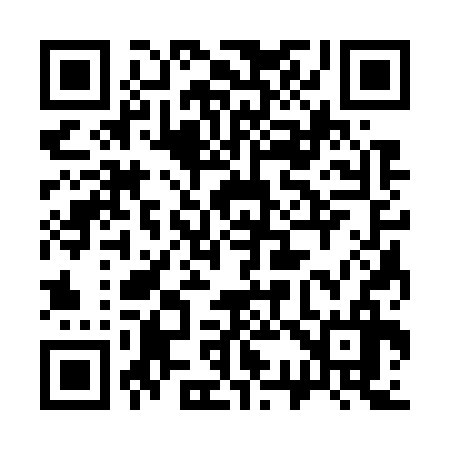QR code for 333736