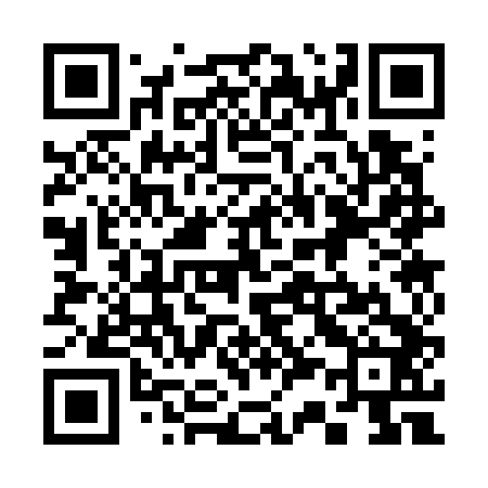QR code for 333742
