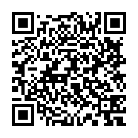 QR code for 333838