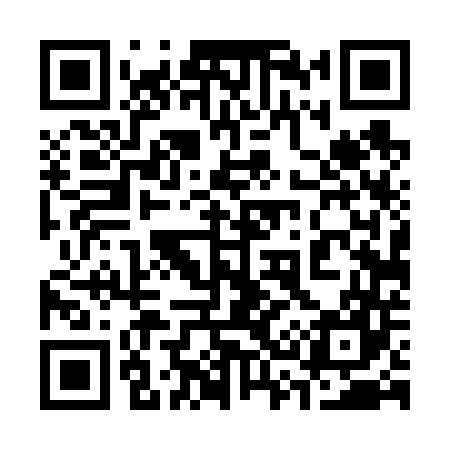 QR code for 334647