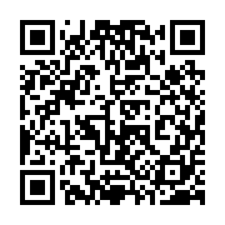 QR code for 335250