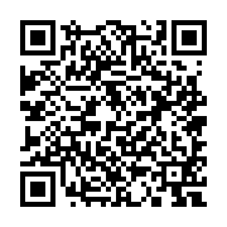 QR code for 3353924