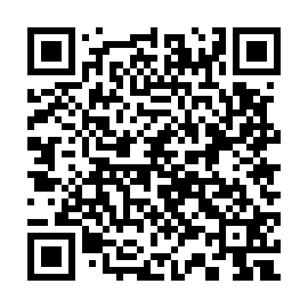 QR code for 335521