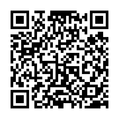 QR code for 335638