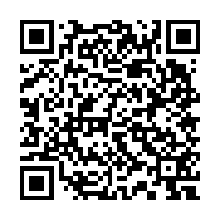 QR code for 335651