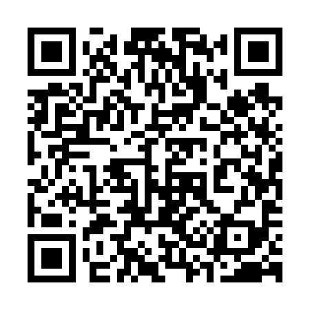 QR code for 335699