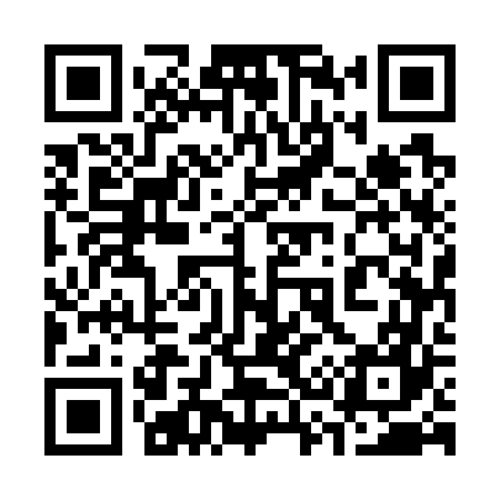 QR code for 335767