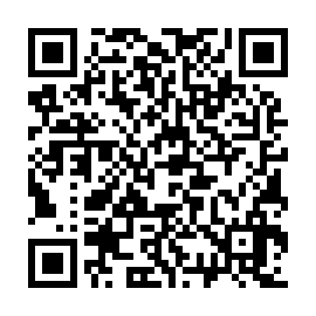 QR code for 335936