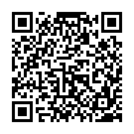 QR code for 336316