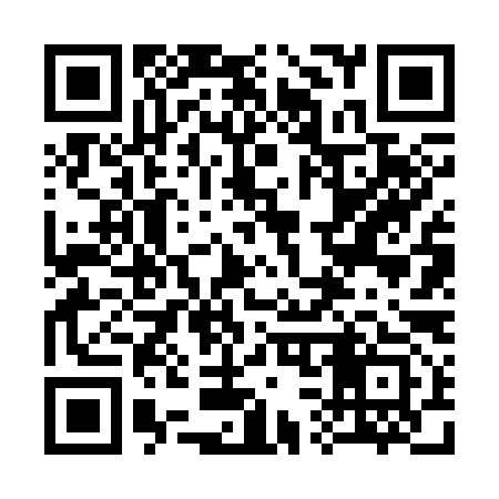 QR code for 336393