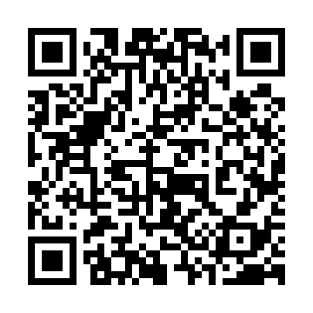 QR code for 336538