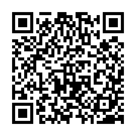 QR code for 336541
