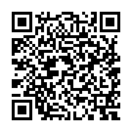 QR code for 3379902