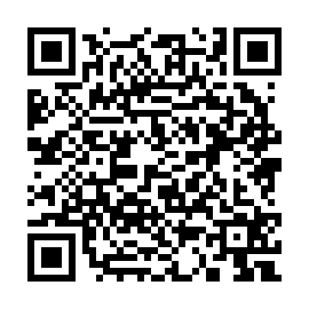 QR code for 3382243