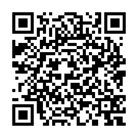 QR code for 3382365