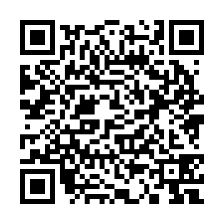 QR code for 3382387