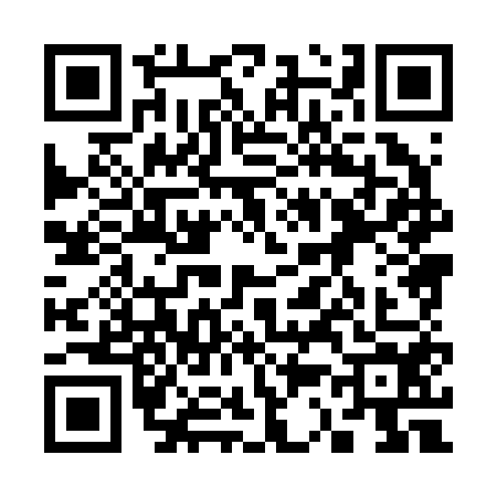 QR code for 3382543