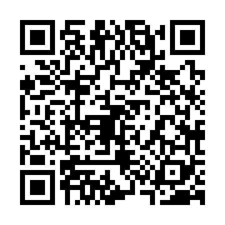 QR code for 3383693