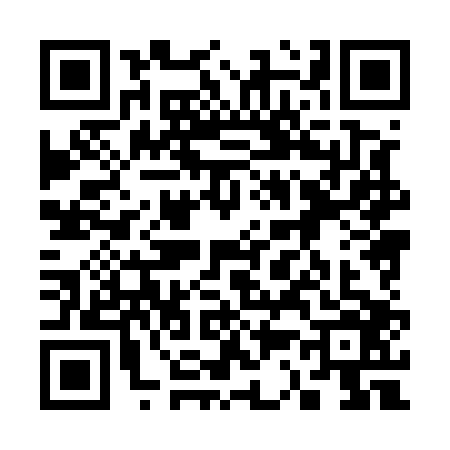 QR code for 3385065