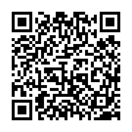 QR code for 338673