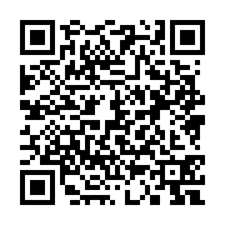 QR code for 3387309